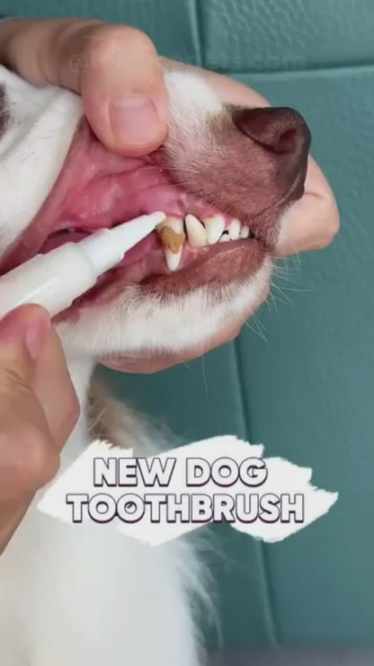Dog Pen Toothbrush