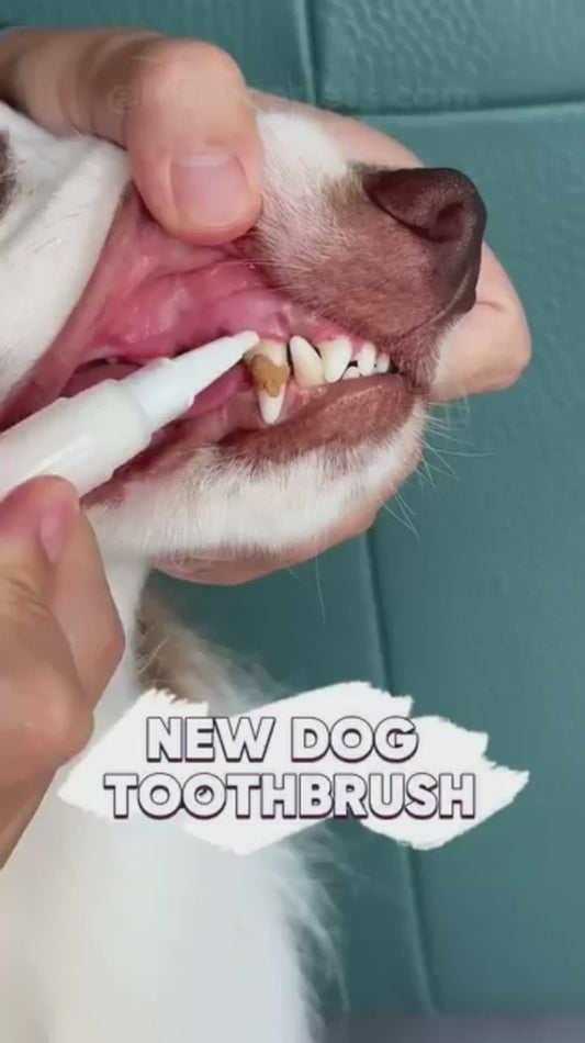 Dog Pen Toothbrush